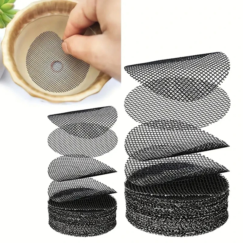 Pilea Peperomioides - Pot Hole Mesh Pad Mat Grid