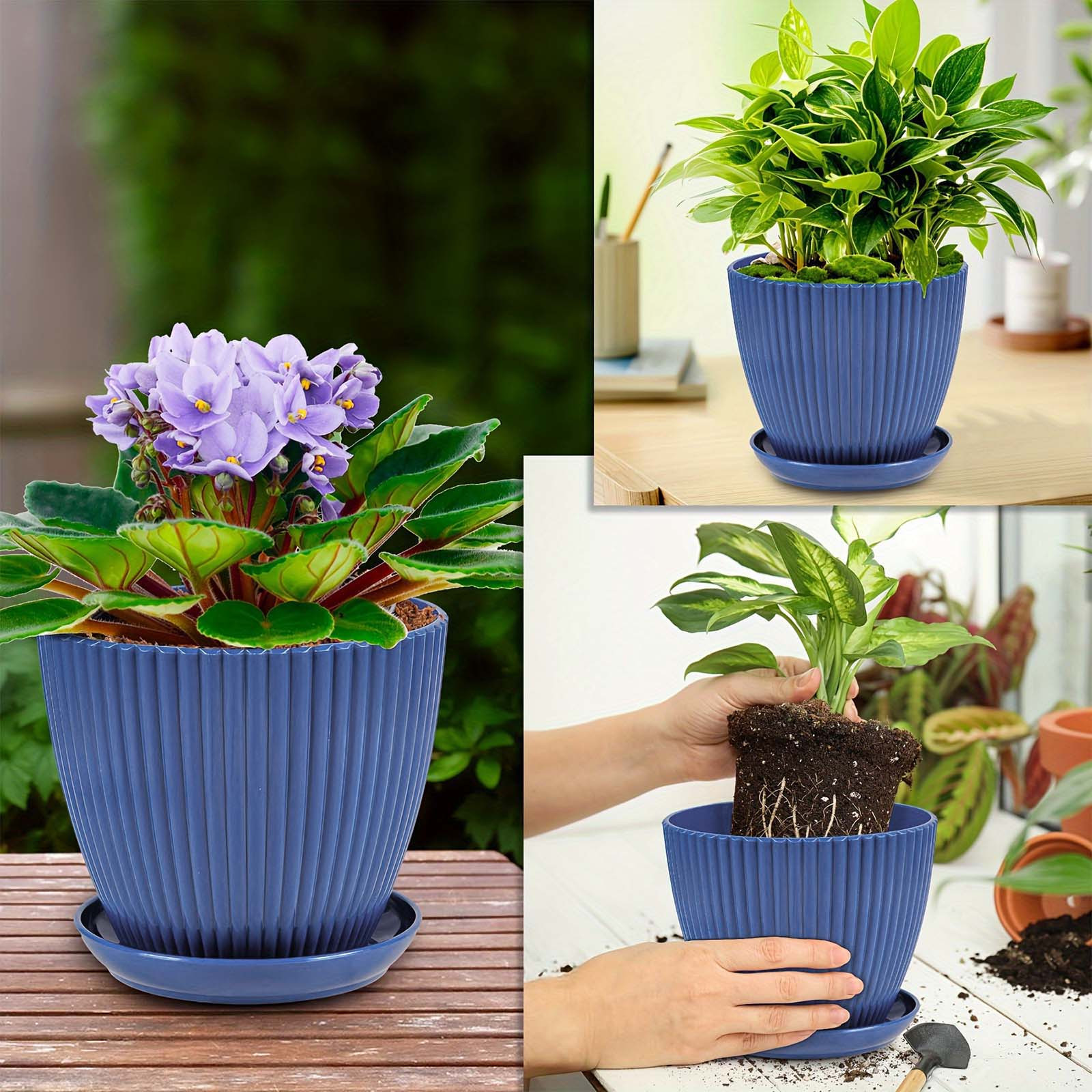 Pilea Peperomioides - Vertical Striped Thickened Plant Pot Non-Ceramic