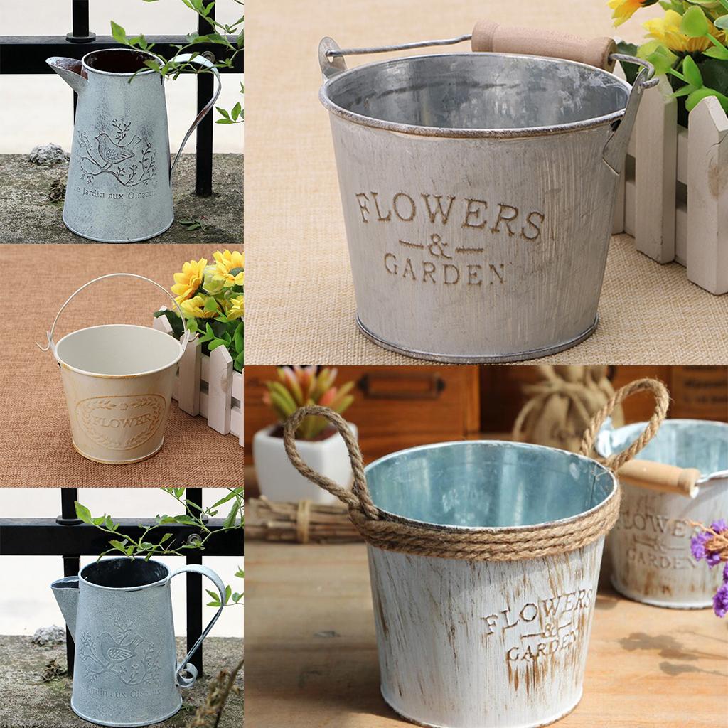 Pilea Peperomioides - Antique Metal Bucket Herb Flower Pot