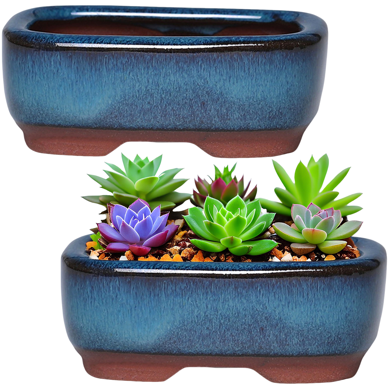 Ceramic Flowerpot Creative Suc - огляд і ціна Pilea Peperomioides