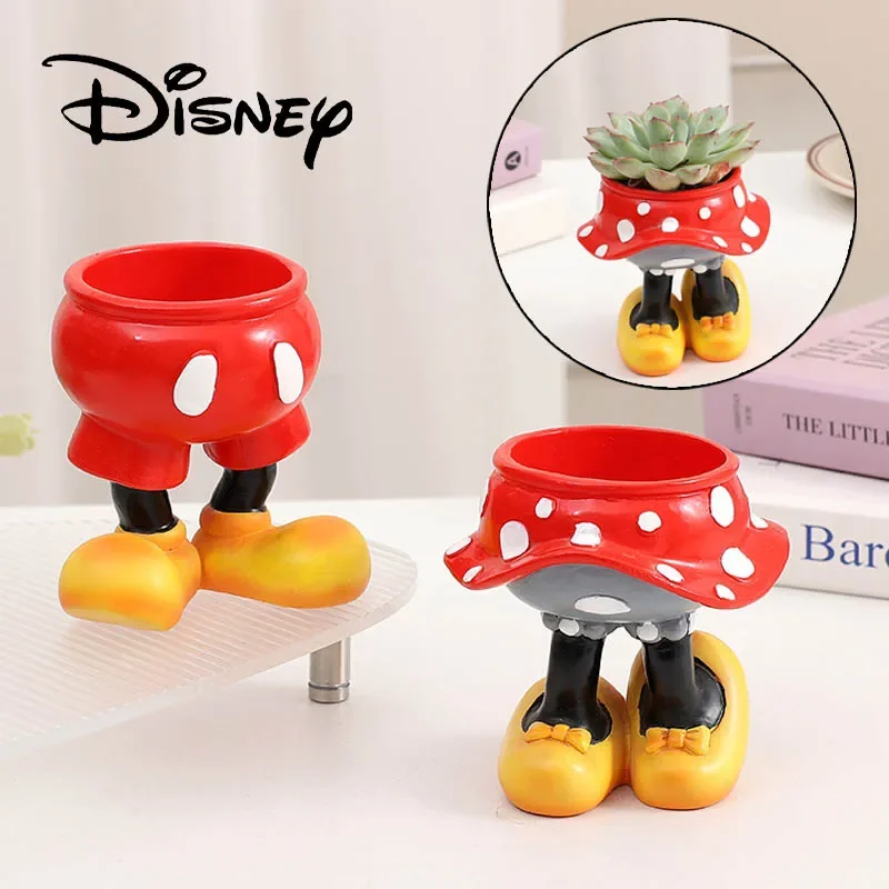 Disney Mickey Minnie Flower Po - огляд і ціна Echeveria Succulent