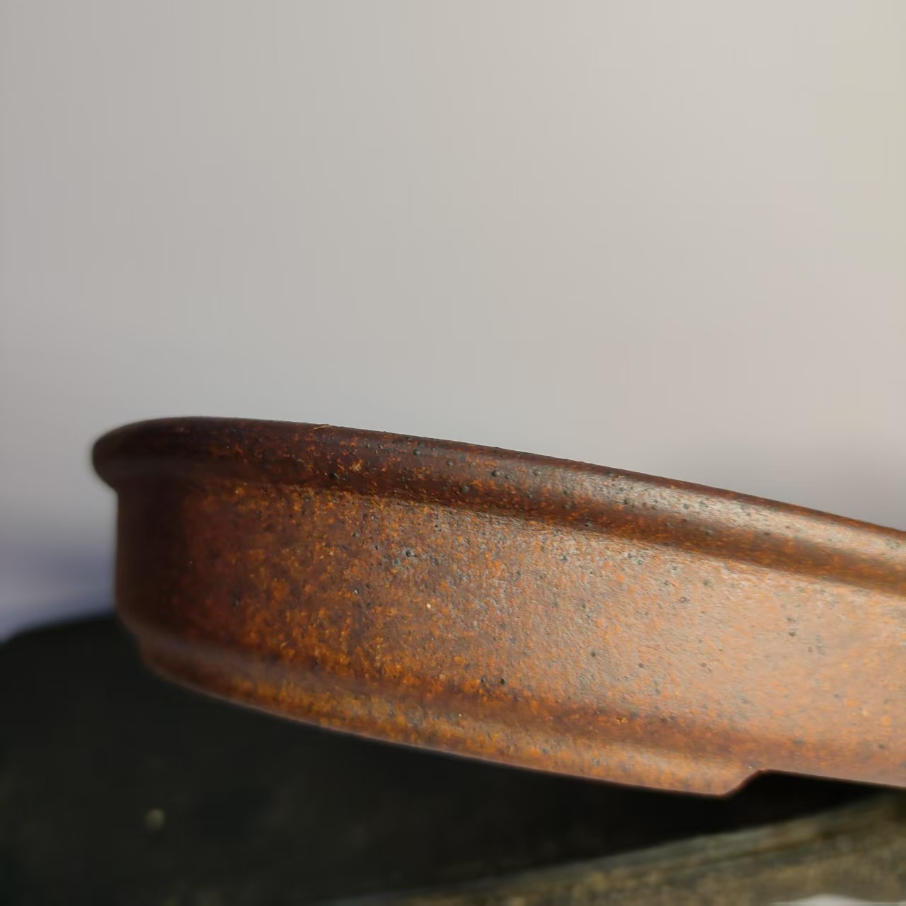 Oval Shaped Unglazed Shallow f - огляд і ціна Pilea Peperomioides