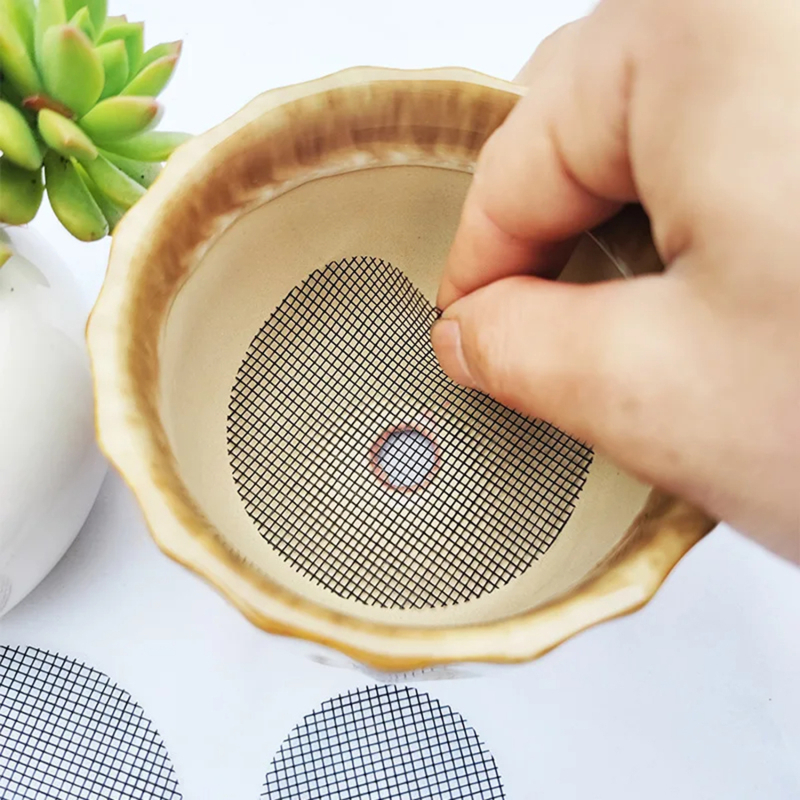 Pot Hole Mesh Pad Mat Grid Rou - огляд і ціна Pilea Peperomioides