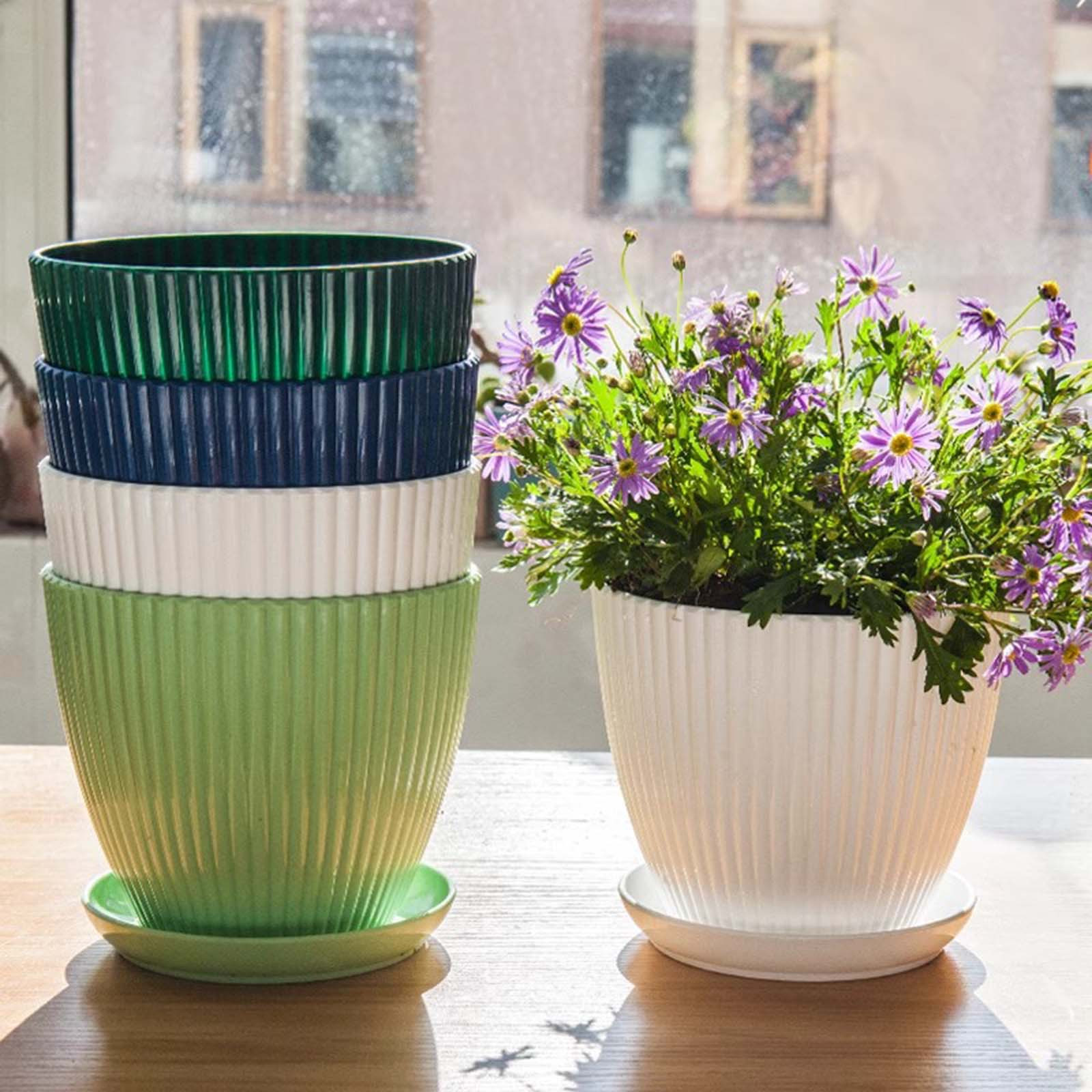 Vertical Striped Thickened Pla - огляд і ціна Pilea Peperomioides