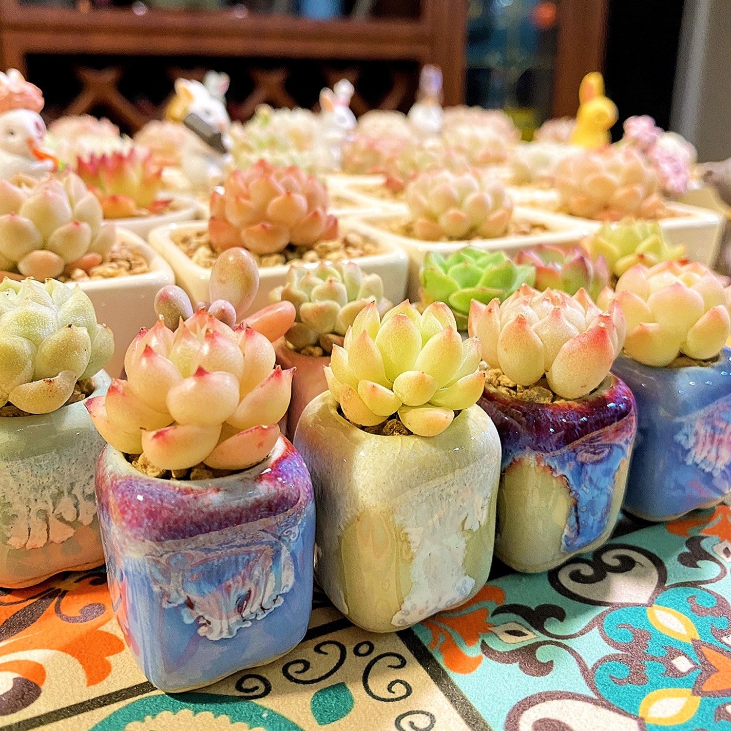 10Pcs Mini Ceramics Fowerpot M - огляд і ціна Echeveria Succulent