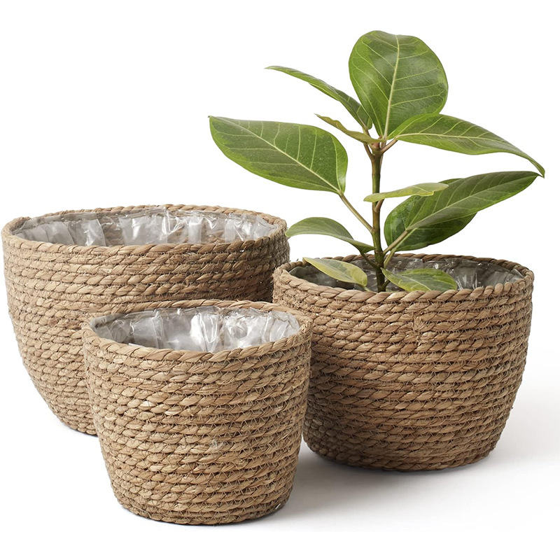 Natural Woven Flower Basket St - огляд і ціна Aloe Vera Pot