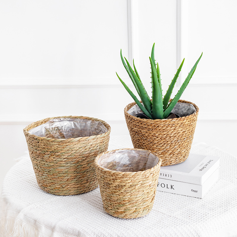 Natural Woven Flower Basket St - огляд і ціна Aloe Vera Pot