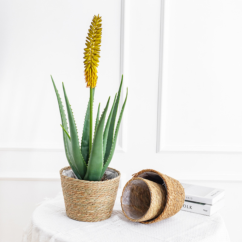 Natural Woven Flower Basket St - огляд і ціна Aloe Vera Pot