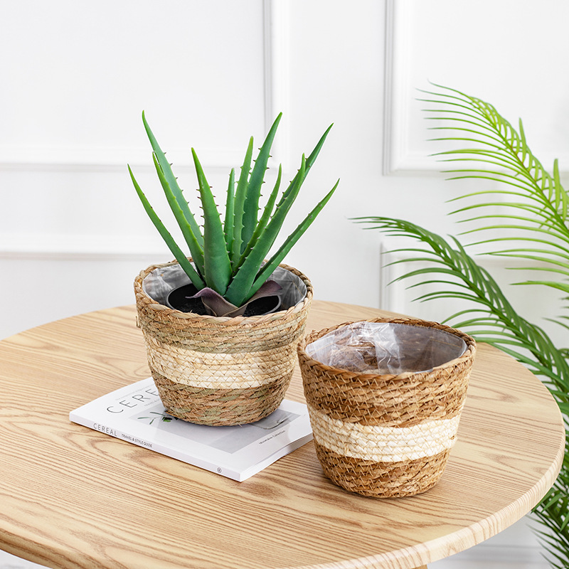 Natural Woven Flower Basket St - огляд і ціна Aloe Vera Pot