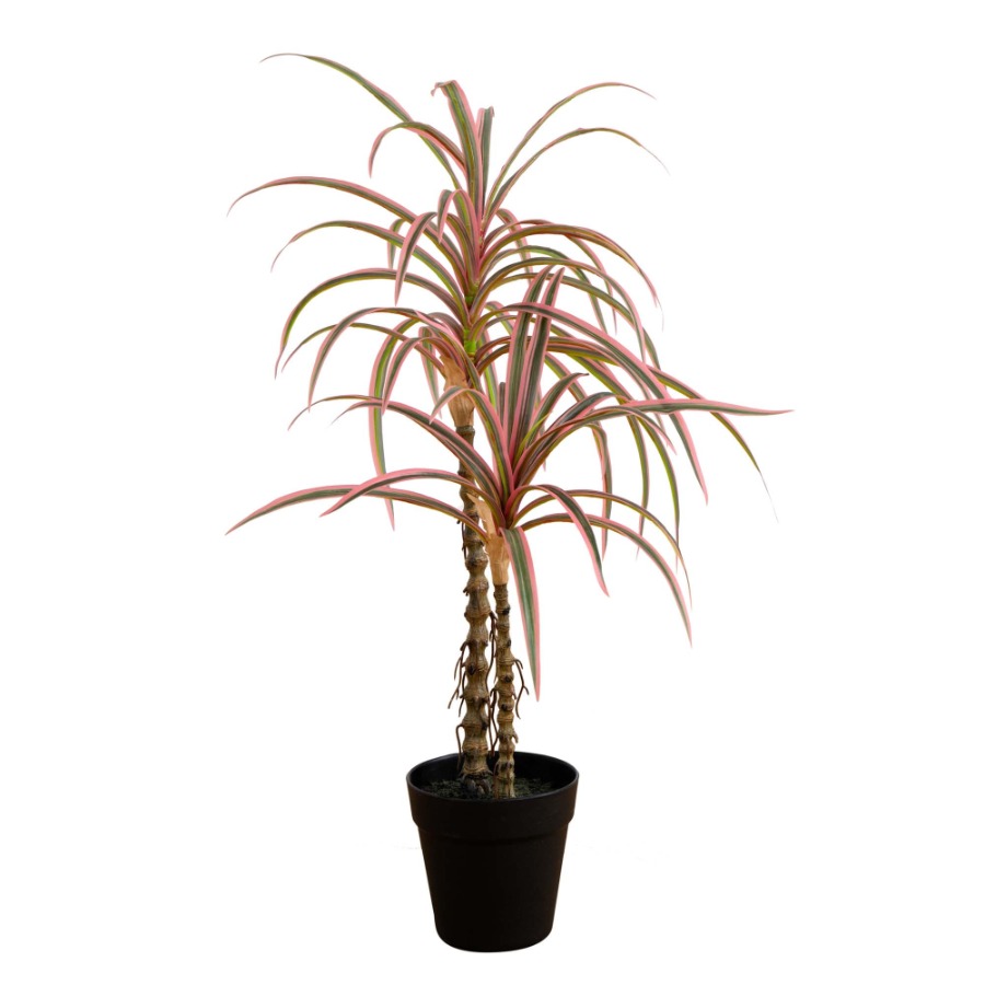 Dracaena Marginata Artificial  - огляд і ціна Dracaena Marginata