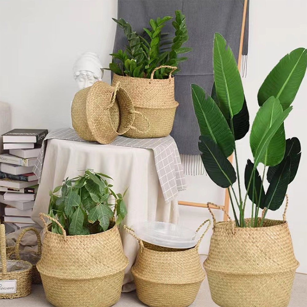 Plant Basket with Handles Wick - огляд і ціна Aloe Vera Pot