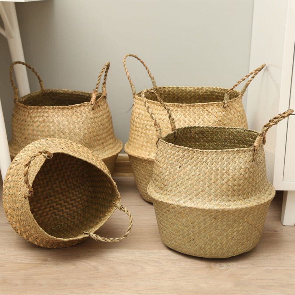 Plant Basket with Handles Wick - огляд і ціна Aloe Vera Pot