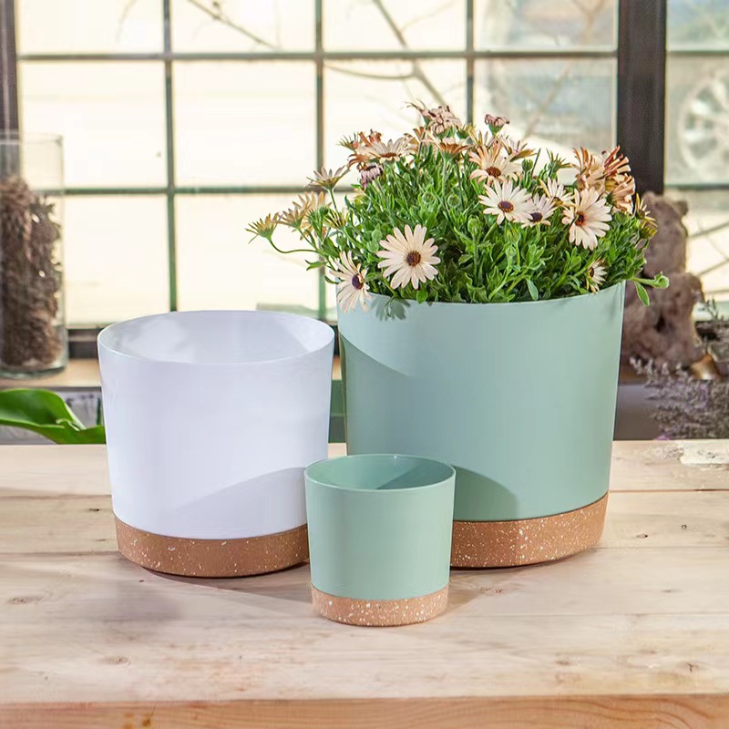 Plant POTS, lightweight large  - огляд і ціна Pilea Peperomioides