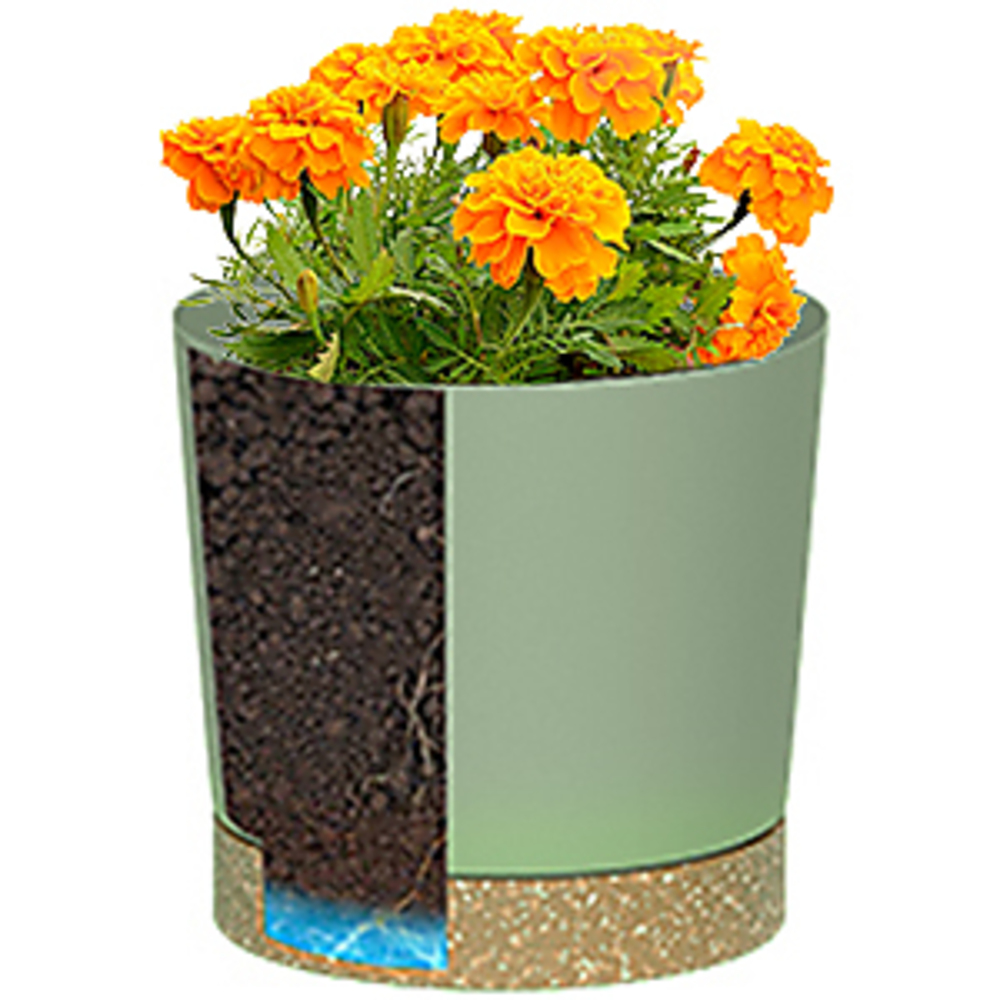 Plant POTS, lightweight large  - огляд і ціна Pilea Peperomioides
