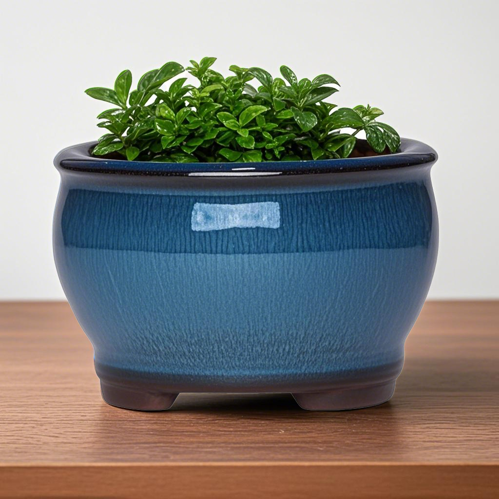 Ceramic Garden Planter Pots Ce - огляд і ціна Pilea Peperomioides