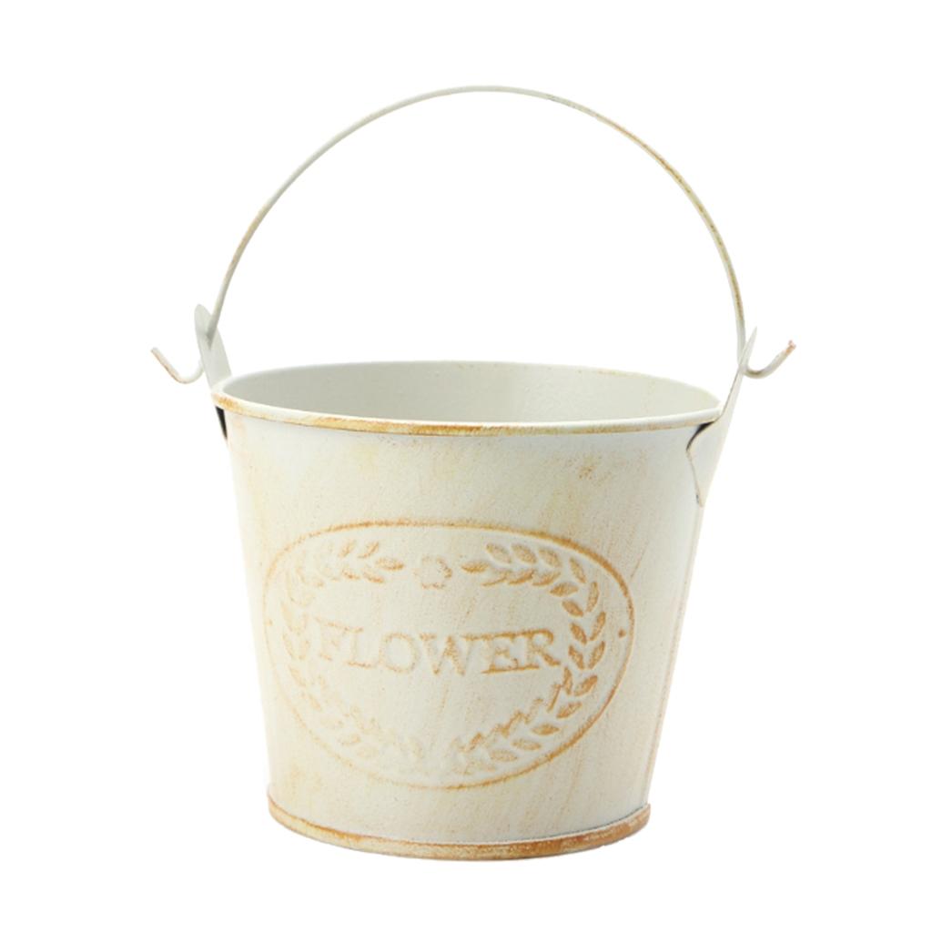 Antique Metal Bucket Herb Flow - огляд і ціна Pilea Peperomioides