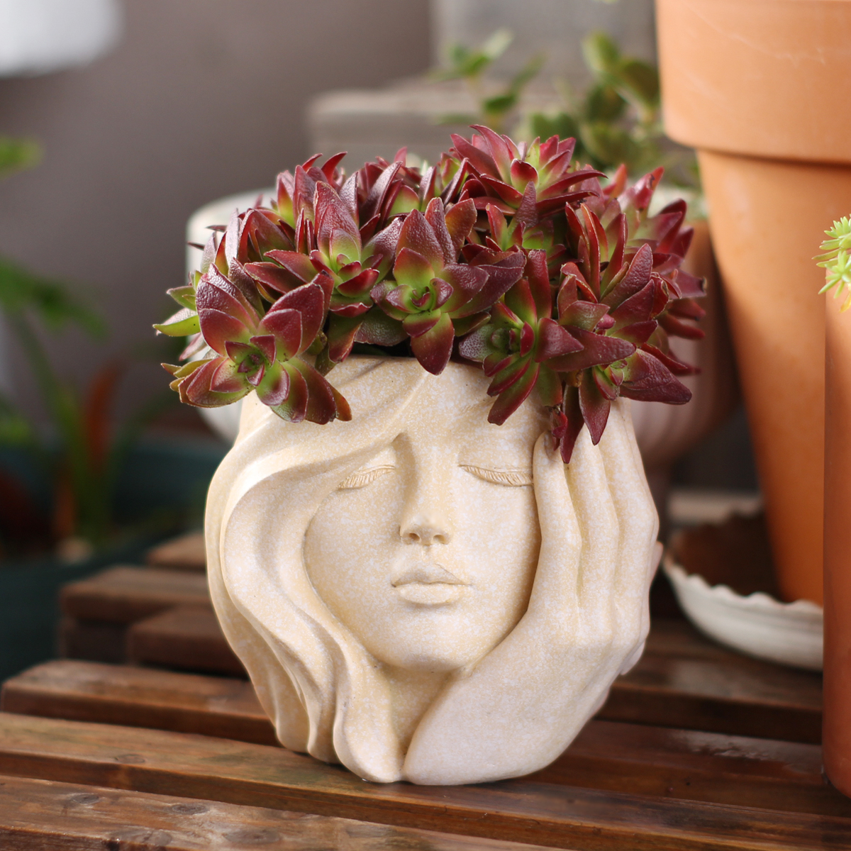 Face-Shaped Flower Pot Suitabl - огляд і ціна Pilea Peperomioides