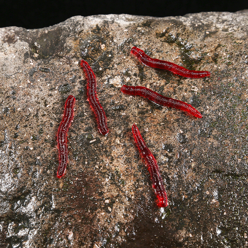 CIBO 50pcs-Artificial Red Worm - огляд і ціна Aglaonema Red