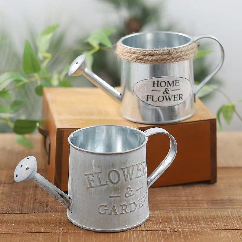 Barrels Garden Decoration Tin  - огляд і ціна Pilea Peperomioides