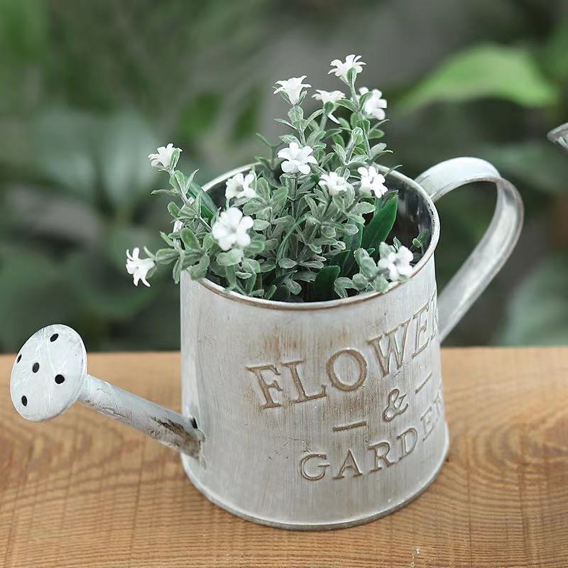 Barrels Garden Decoration Tin  - огляд і ціна Pilea Peperomioides