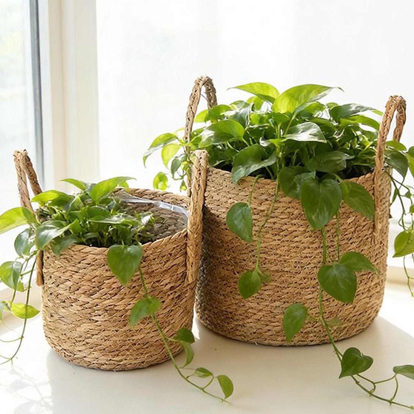 Planter Basket Straw Flowerpot - огляд і ціна Pilea Peperomioides